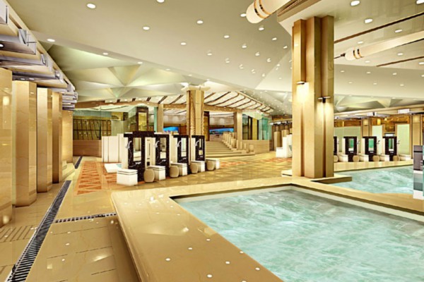 成都茶艺美女养生秘籍分享(成都的茶艺)